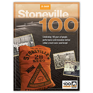 Stoneville-main